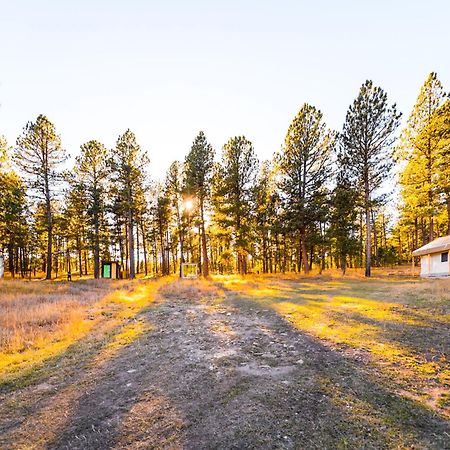 Grey Wolf Outpost Villa Custer Exterior photo